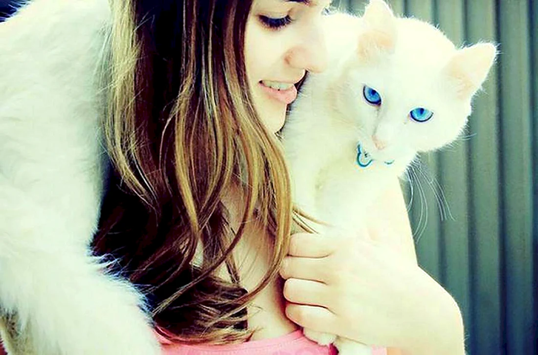 Девушка с белым котом