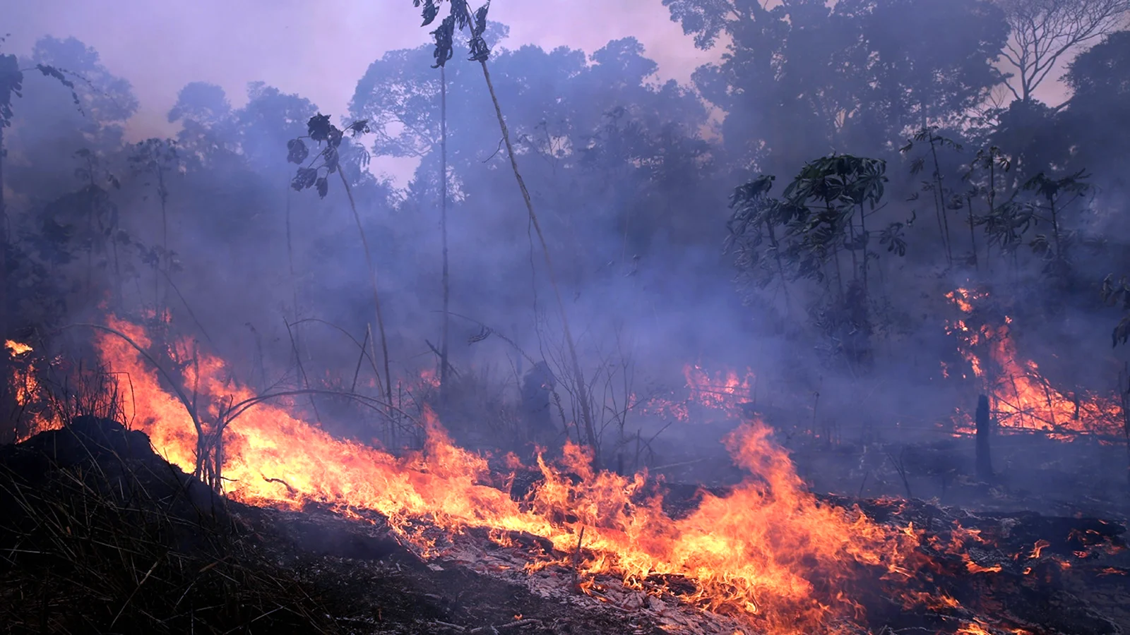 Амазонка пожар 2019