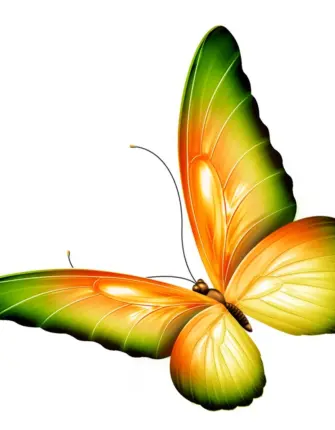 Бабочки на прозрачном фоне для фотошопа