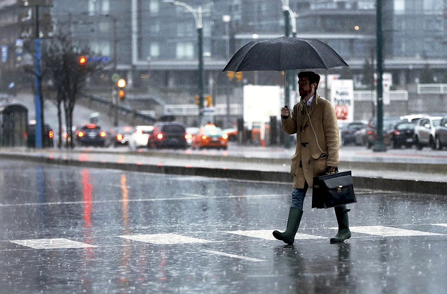 Дождливые дни в Торонто