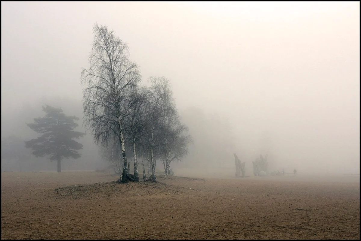 Финский залив в тумане