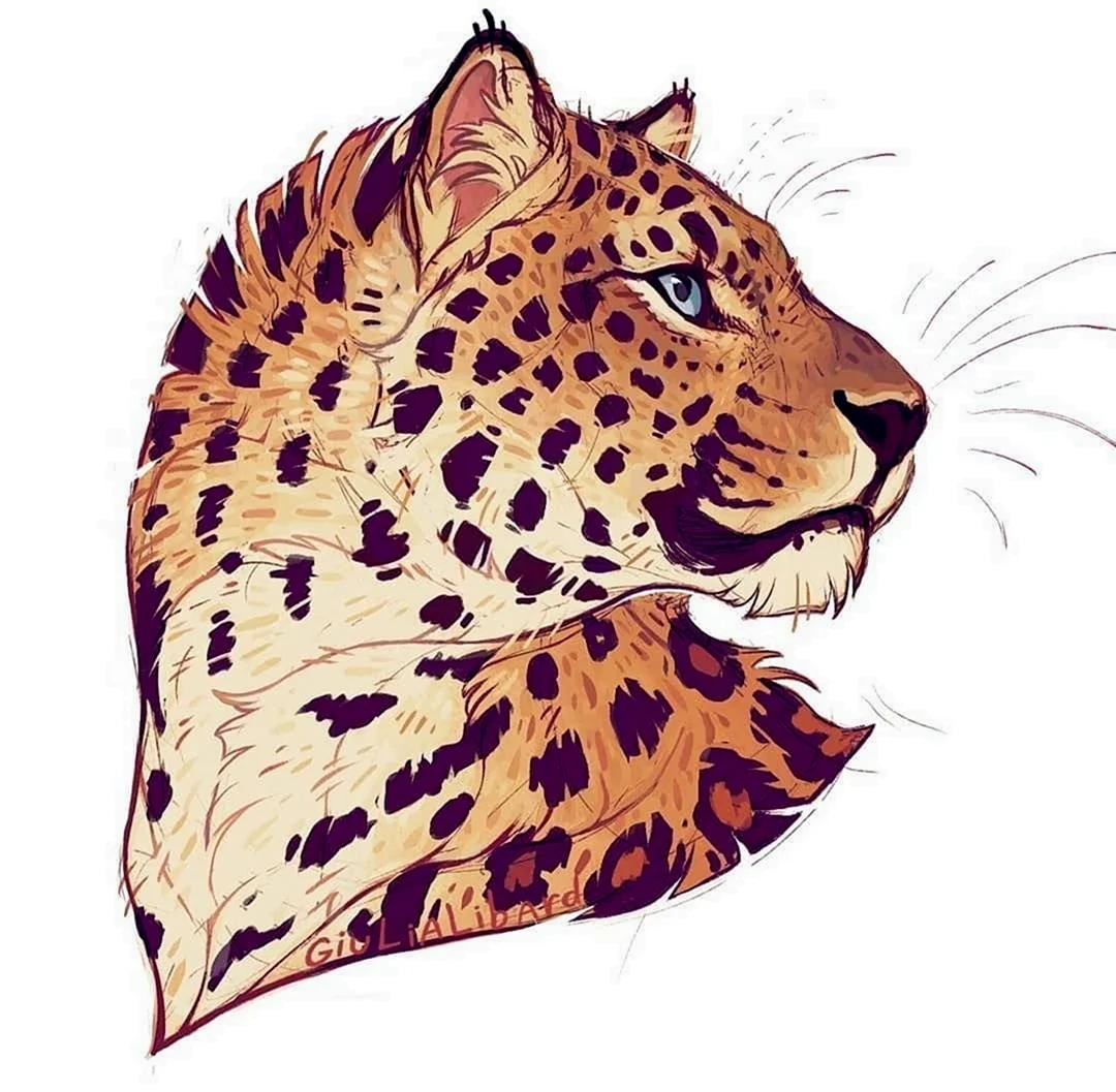 Giulialibard леопард