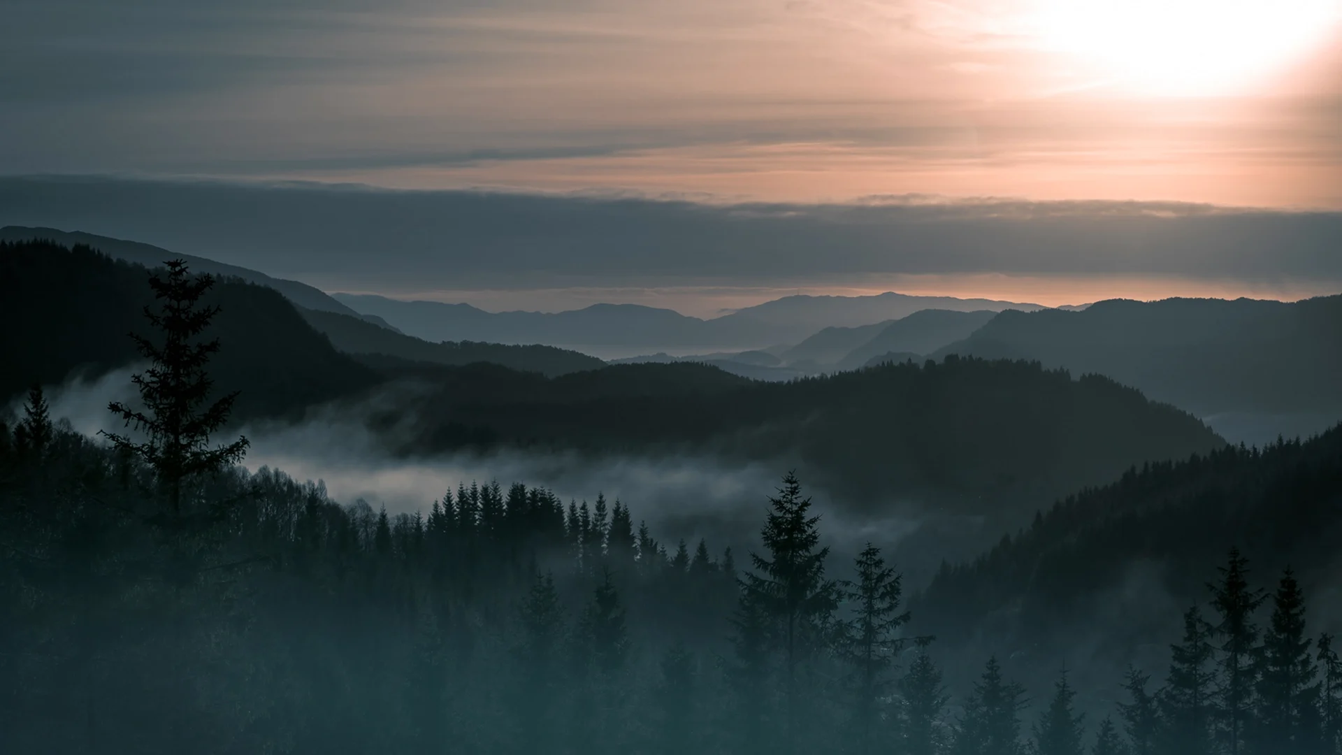 Горы туман лес Скандинавия