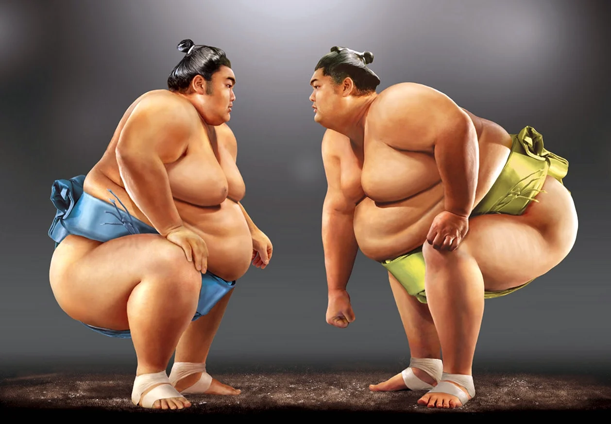 Японские борцы сумо
