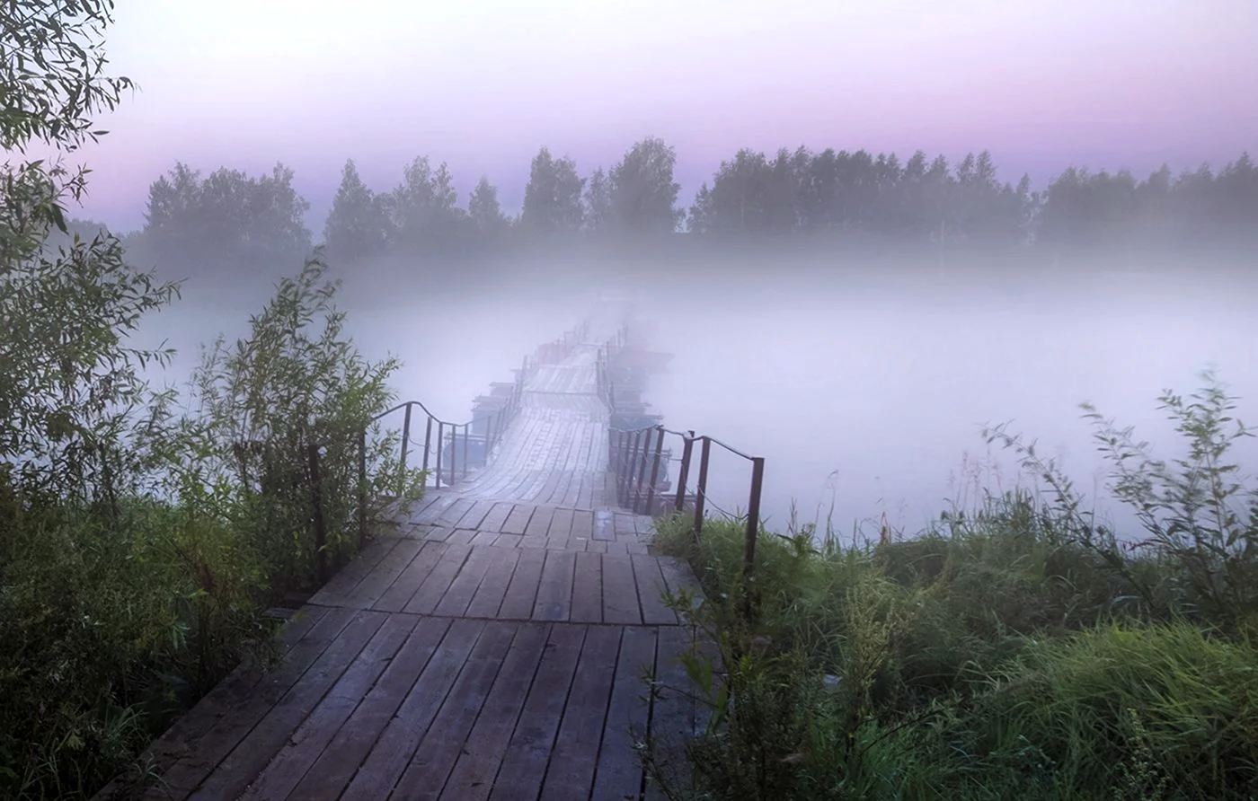 Ярославская область туман