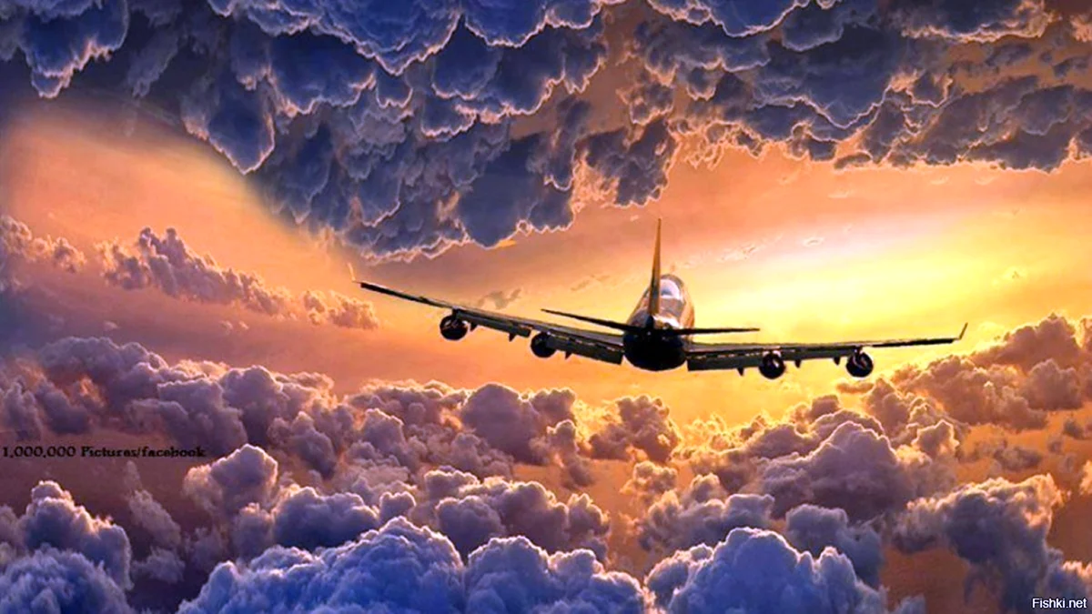 Картина самолет в небе