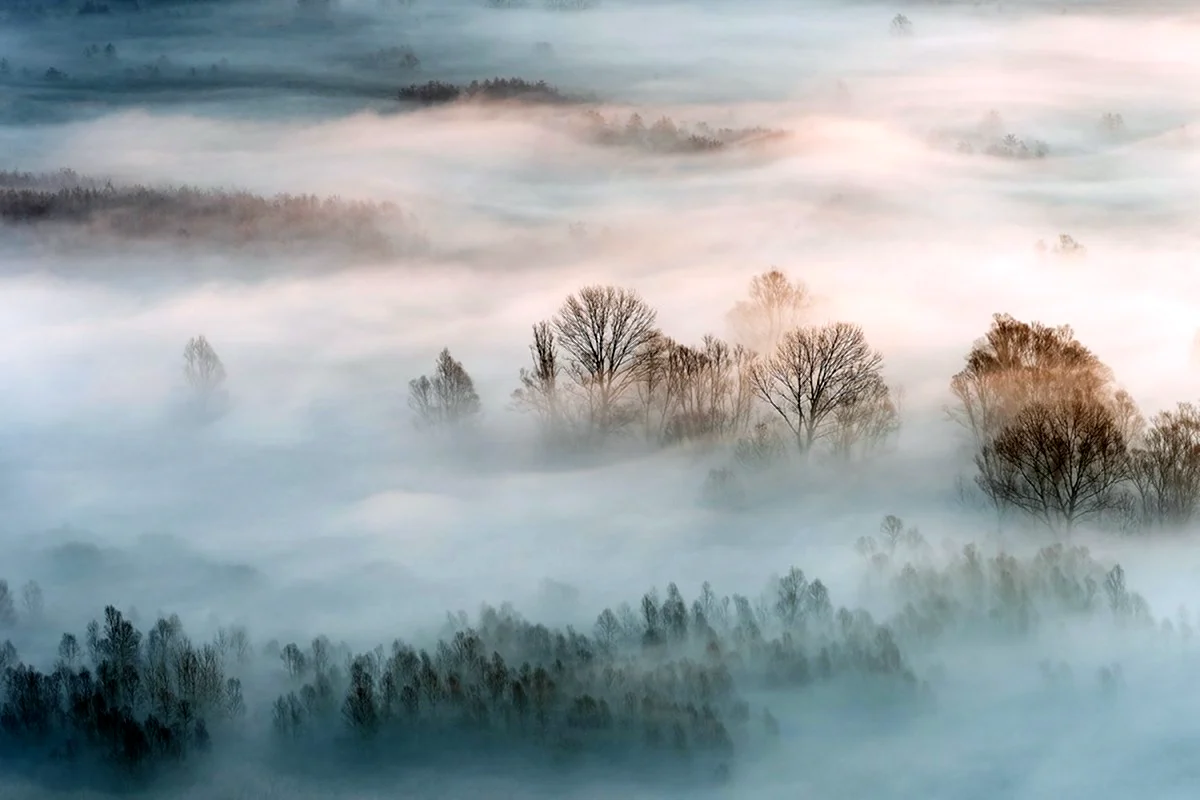 Картина туман