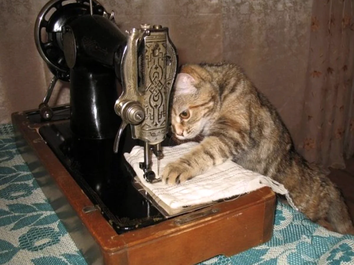 Кот и швейная машинка