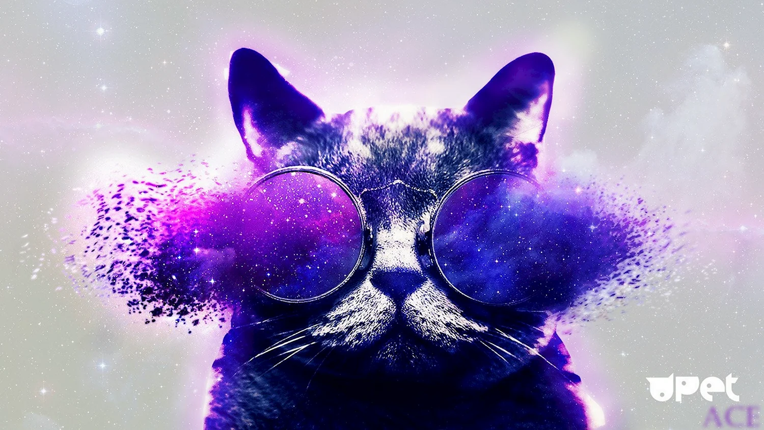 Кот в космических очках