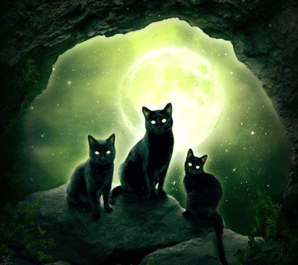 Коты Воители чёрная Луна