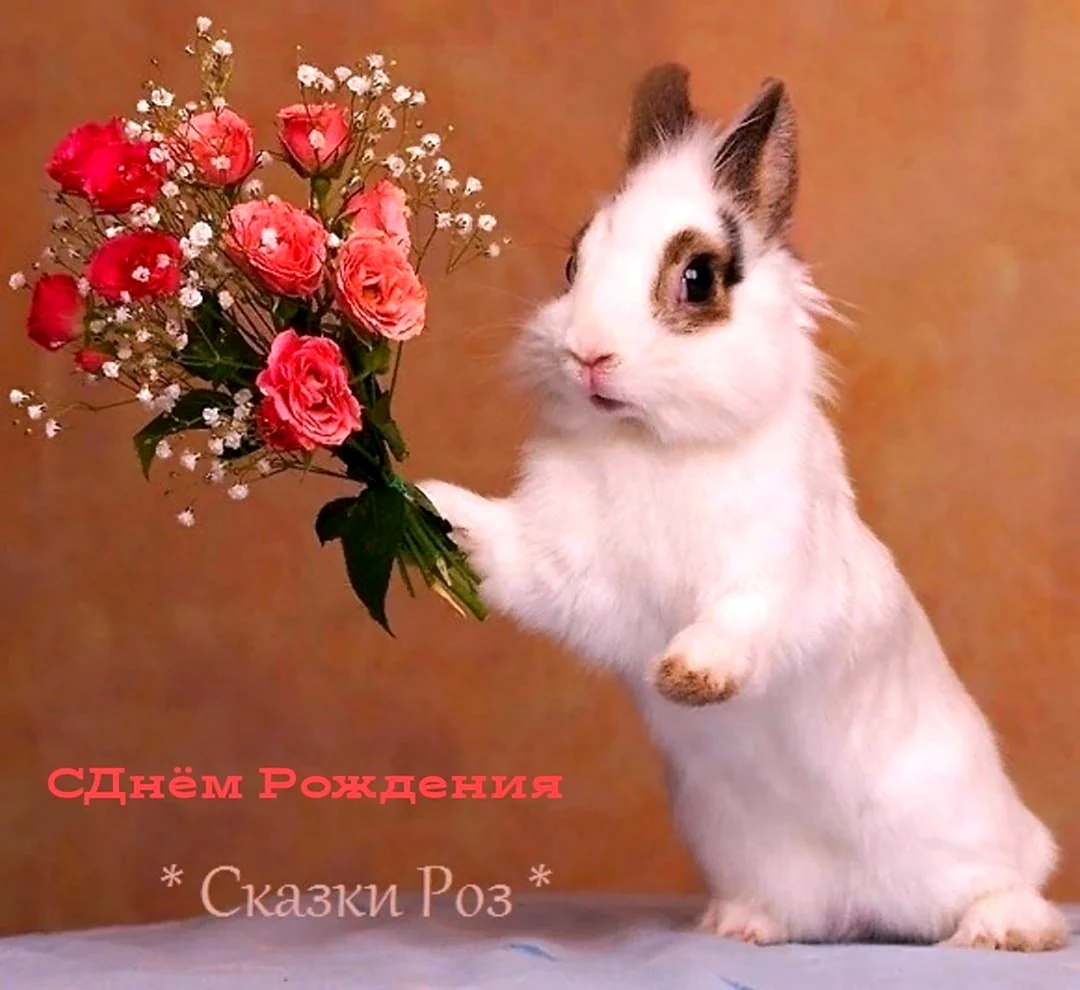 Кролик с цветами