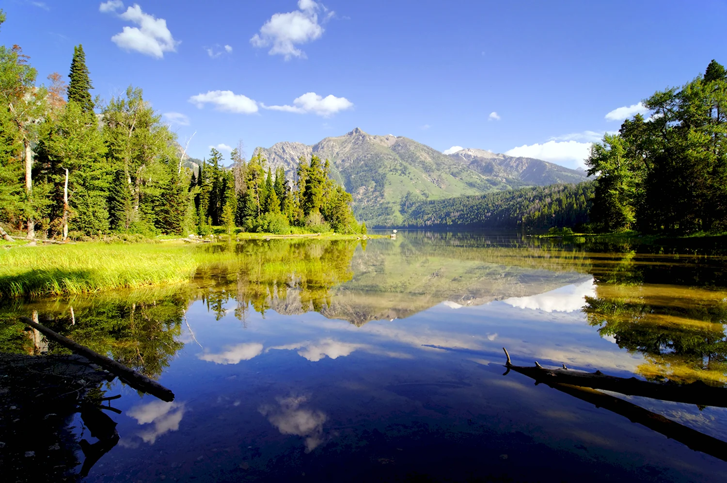 Обои горы лес озеро природа река красивая