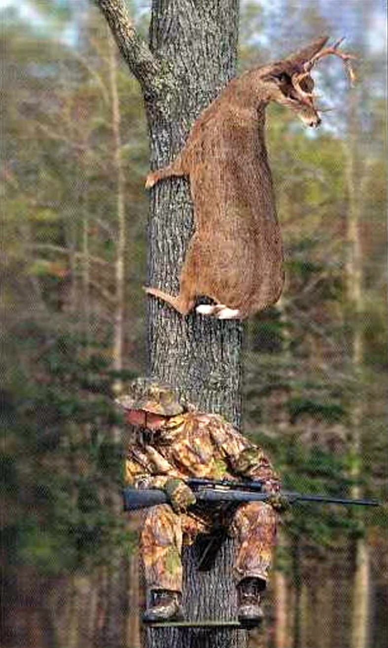 Охотник на дереве