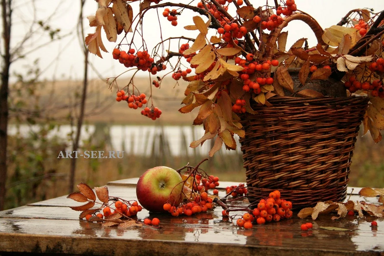 Осеннее настроение ноябрь