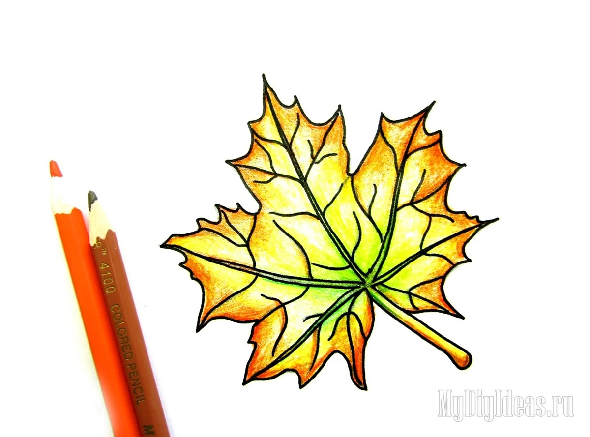 Осенние листики карандашом