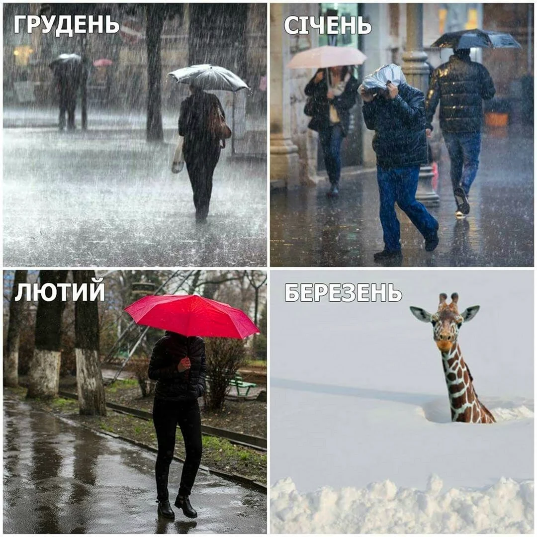 Погода Мем