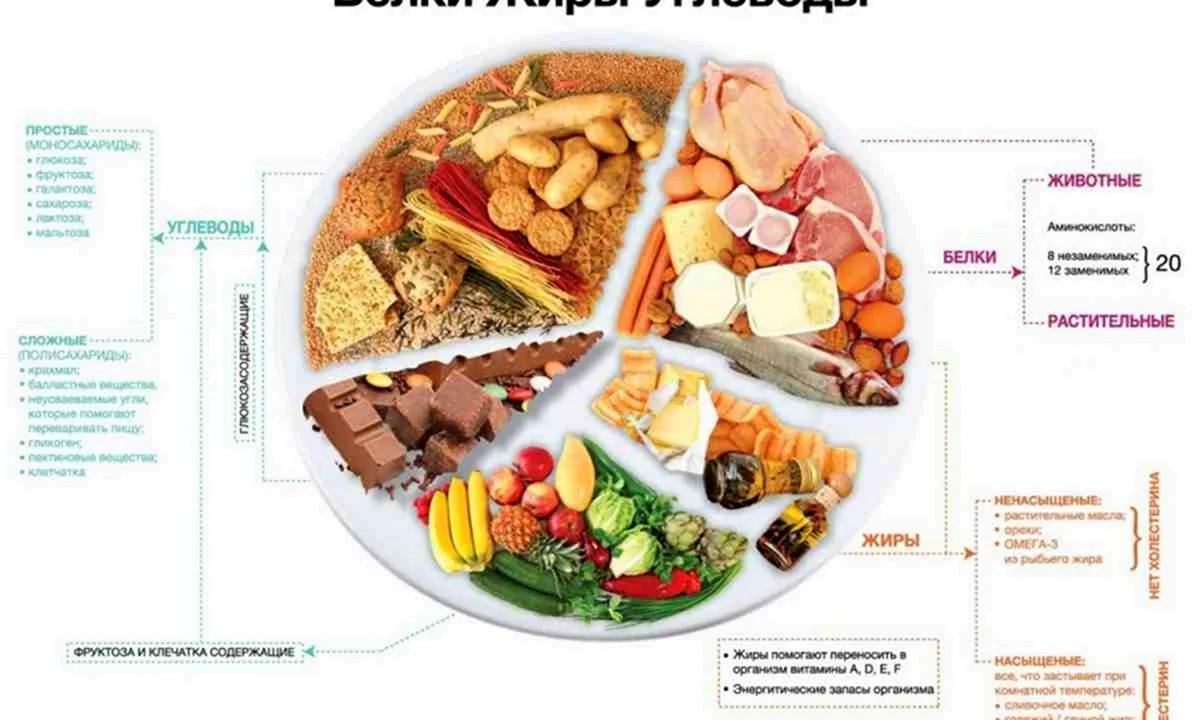Правильное питание белки жиры углеводы таблица