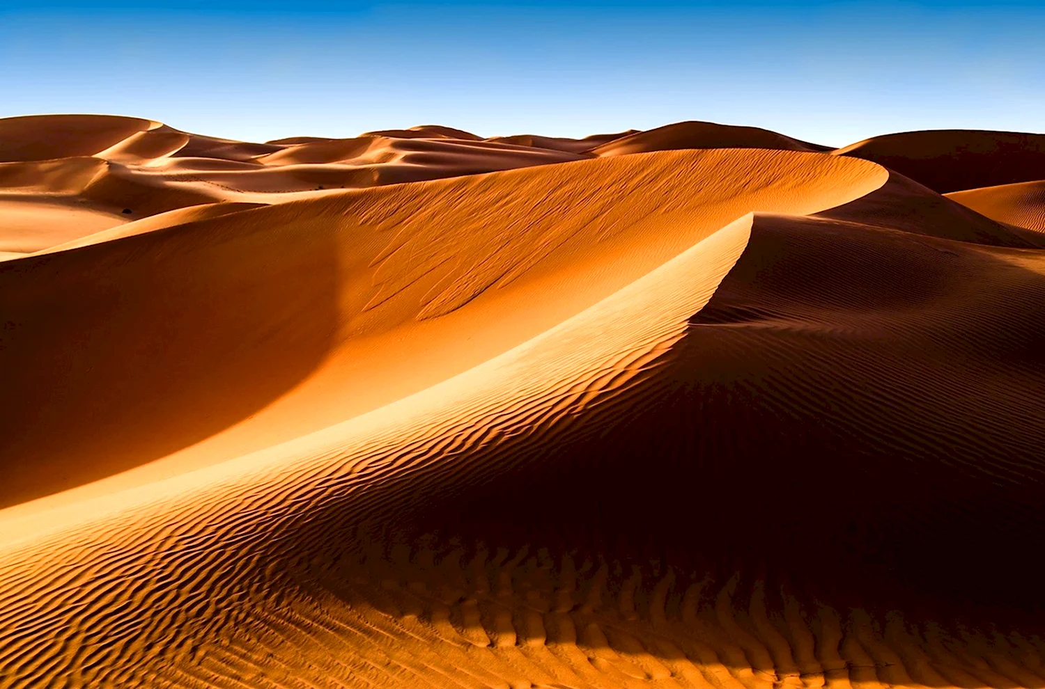 Природа пустыни