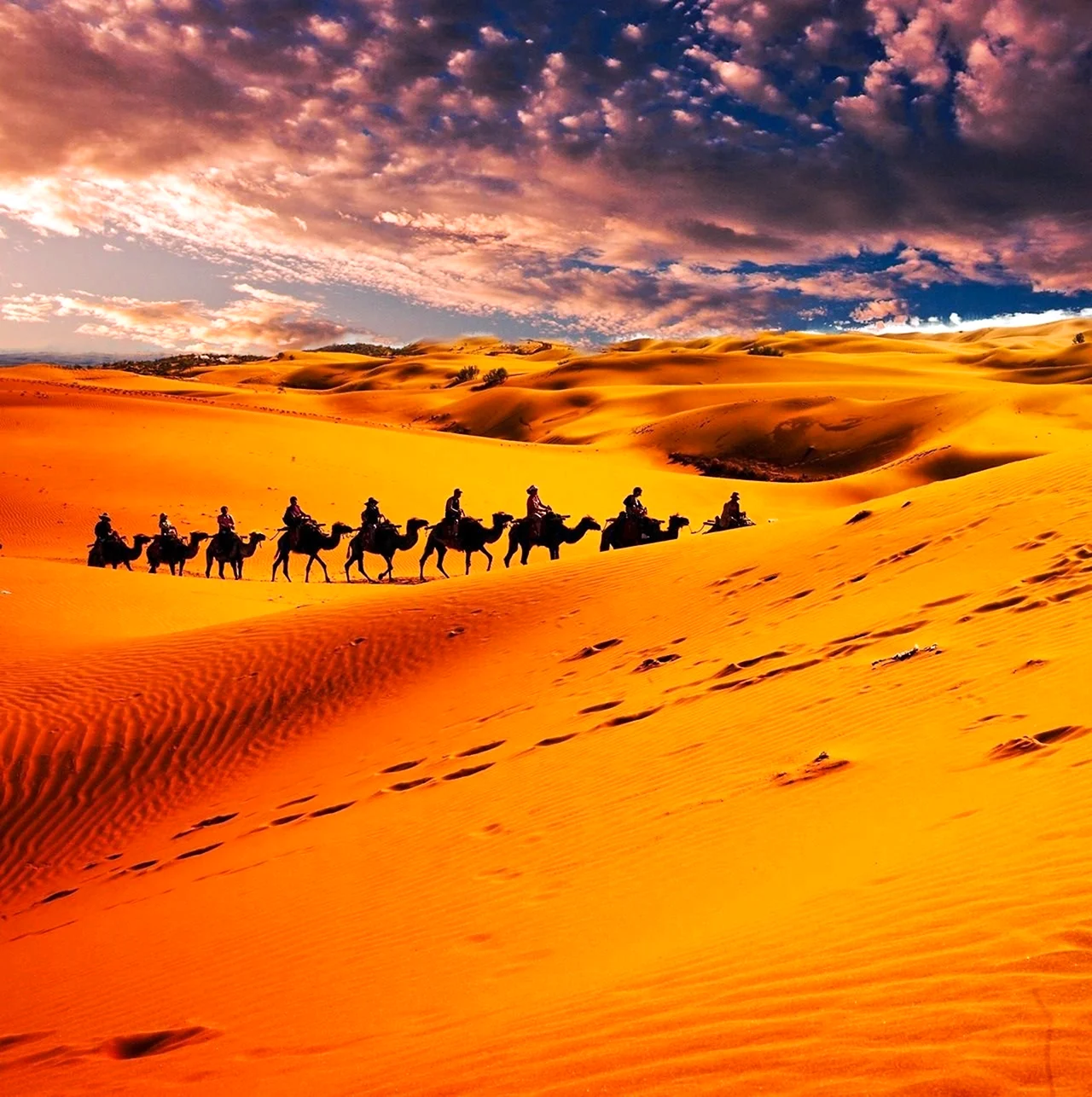 Рай в пустыне