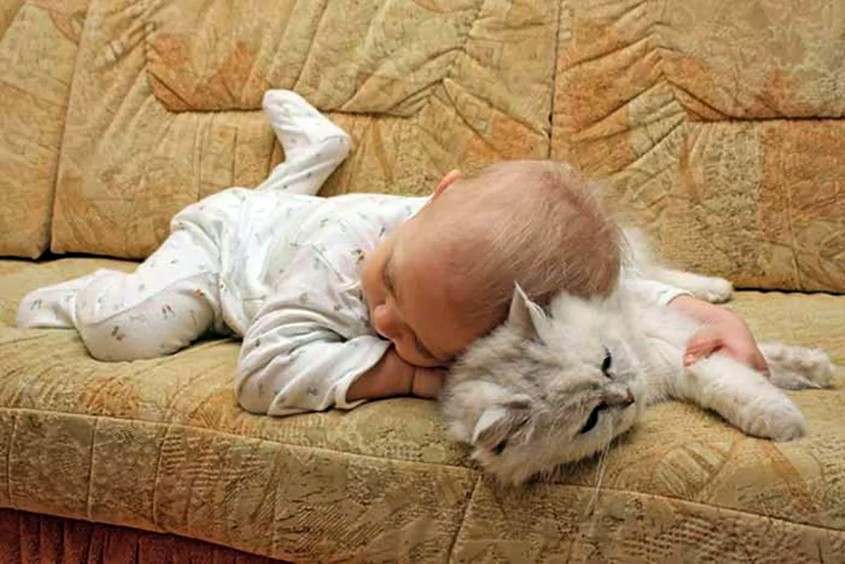 Ребенок спит с котом
