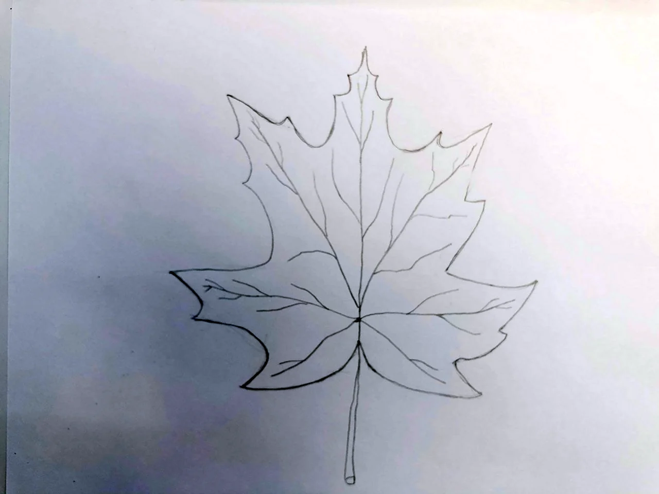 Рисование на листьях клена