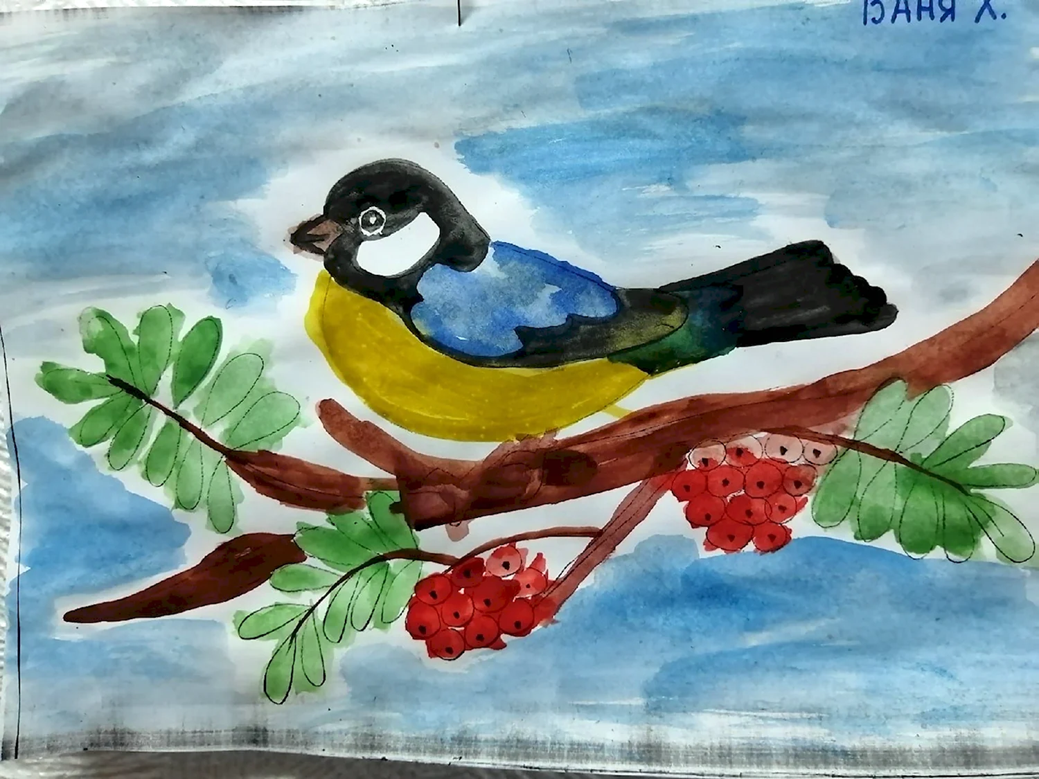 Рисование на тему птицы синицы