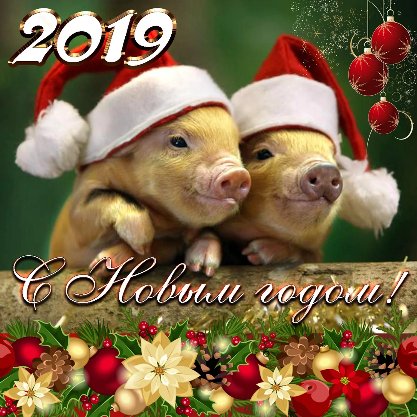 С наступающим новым годом свиньи