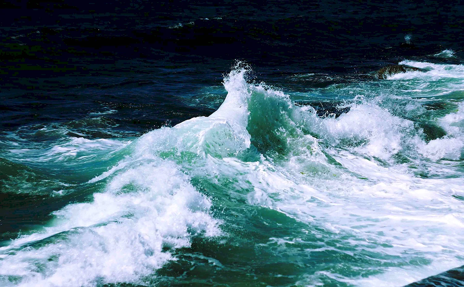 Волны в открытом океане
