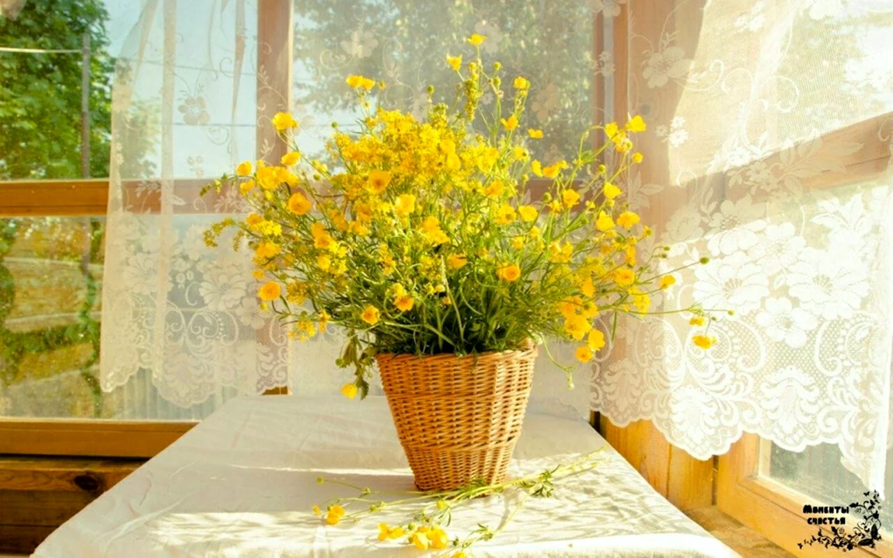 Желтые цветы на подоконнике
